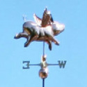 Flying Pig